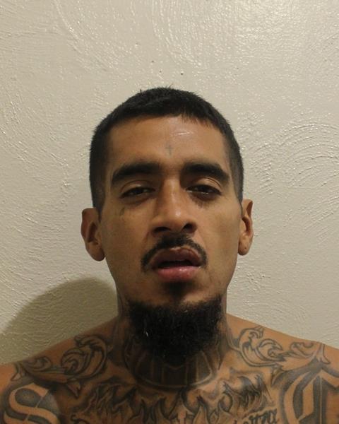 SELVIN RUBERY CIFUENTES HERNANDEZ